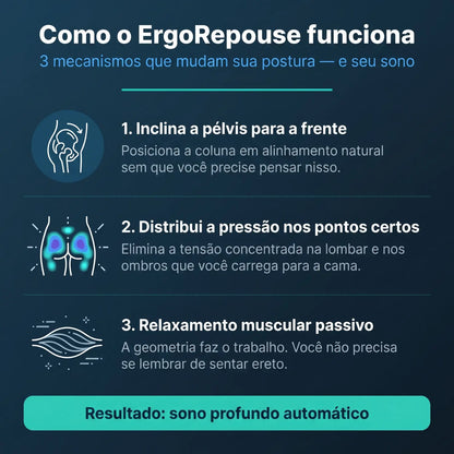 Assento Postural Ergonômico ErgoRepouse | Corretor Postura  Cadeira Home Office + Protocolo Postura & Sono Grátis